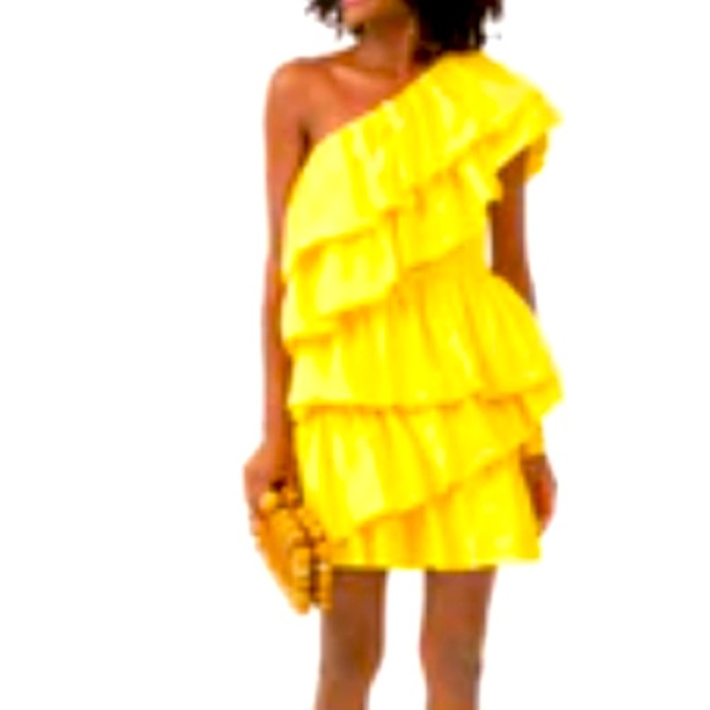 TUCKERNUCK NWT dress